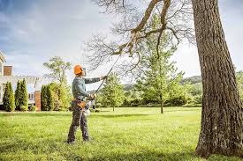 Best Residential Tree Removal  in Graysville, AL